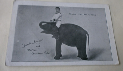 Jumbo Junior & pieni ohjaaja, sirkuskortti, p. 1907