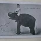 Jumbo Junior & pieni ohjaaja, sirkuskortti, p. 1907 - pikkukuva 1