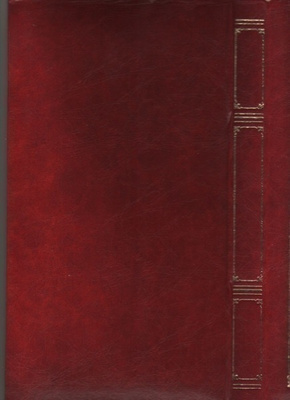 Postikorttikansio 30 x 16,5 x 2,5 cm,50 läpinäk.kääntöpussia