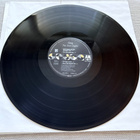 Sting: The Soul Cages LP - pikkukuva 4