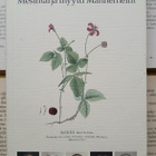 Matti Klinge - Mesimarja, myytti, Mannerheim (nid.) - pikkukuva 1