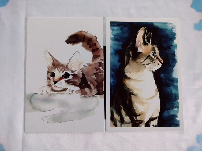 ~Kissa kortti~ 2kpl