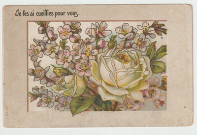 Je les ai cueillies pour vous - Valitsin ne Sinulle (MM)