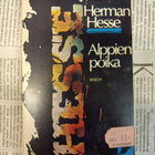 Hermann Hesse - Alppien poika (pokkari) - pikkukuva 1