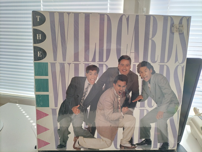 WILD CARDS, Cool never cold, LP US -88  UUSI MUOVISSA !!