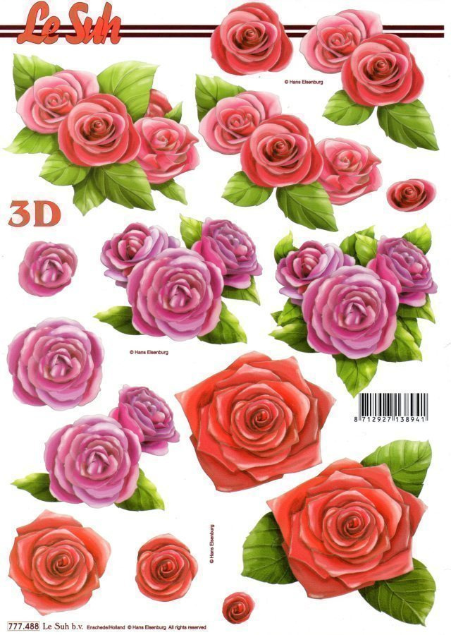 3D °°Punasävyiset ruusut° /Le Suh