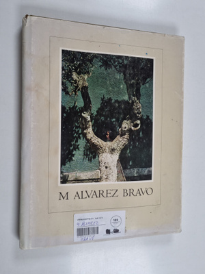 Jane Livingston : M. Alvarez Bravo