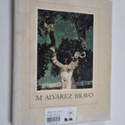Jane Livingston : M. Alvarez Bravo - pikkukuva 1