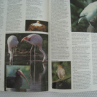  Jersey Wildlife Preservation Trust Gerald Durrell - pikkukuva 5