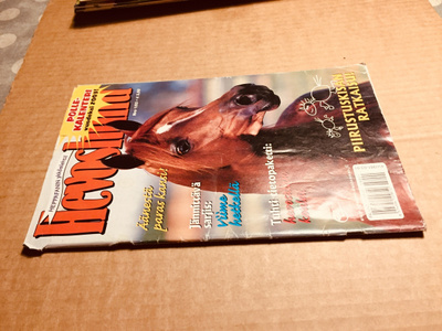 HEVOSHULLU 1/2003 HYVÄ