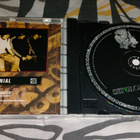 Various – Sepulchral Feast: A Tribute To Sepultura - pikkukuva 3