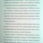 Jari Tervo - Rautapää Kirja - pikkukuva 3