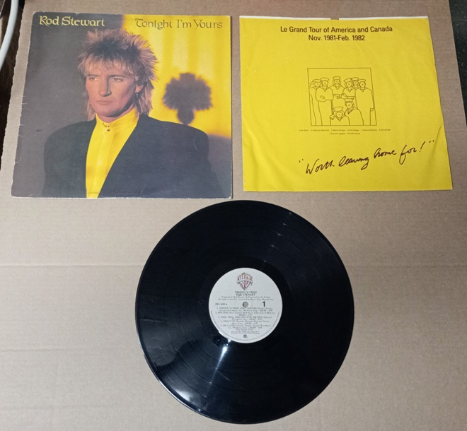 ROD STEWART TONIGHT I´M YOURS LP