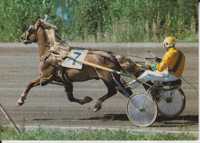Vekseli / Pentti Savolainen ,oo ,  e33