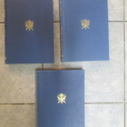 SUOJELUSKUNTAIN HISTORIA 1- 3 - pikkukuva 1
