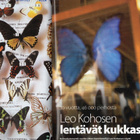 Apu n:o 28 2009 Anna Puu. Keräily. Lauri Lyly. Leo Kohonen - pikkukuva 4