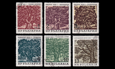 Bulgaria 1502-7 o Vanhat puut (1964)