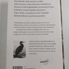 Anni Kytömäki : Mirabilis (signeerattu) - pikkukuva 2