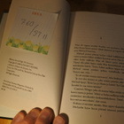 Melinda Metz: Salamatkustaja - Roswell High 6, sidottu - pikkukuva 3