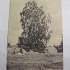 VANHA Postikortti Lohja Vaanila 1900-luku - pikkukuva 1
