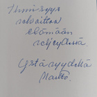 Martta Horjander : Martan vuosi (signeerattu, tekijän omi... - pikkukuva 2