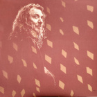 Robert Plant - Band Of Joy *Audiophile quality 180gram 2LP* - pikkukuva 3