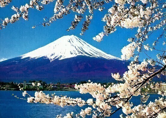 Japani Mt Fuji ja kirsikankukat