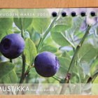 Martat-kortti, Mustikka vuoden marja, kulkenut 2007 - pikkukuva 1