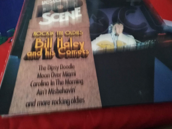 Bill Haley And His Comets  Rockin The Oldies