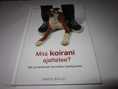 Bailey MITÄ KOIRANI AJATTELEE