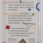 Helen Burnford : Ompeluideoita - pikkukuva 2
