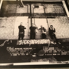 BACKYARD BABIES: Silver & Gold Lp levy - pikkukuva 4