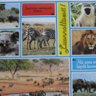 WWF ELÄIN TARRAT (16 tarraa arkissa) - pikkukuva 2