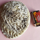 Simpukka Osteri Abalone kuori, sateenkaari värit sisällä - pikkukuva 3