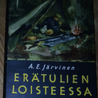 A.E. Järvinen: Erätulien loisteessa (1955) - pikkukuva 1