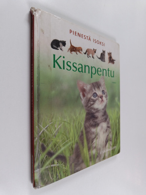 Lisa Magloff : Pienestä isoksi : kissanpentu