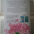 Liane Moriarty - Hyvä aviomies (pokkari) - pikkukuva 2