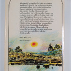 Michael Ende : Momo : merkillinen tarina harmaista herroi... - pikkukuva 2
