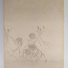 Mary E. Unger : The favorite flowers of Japan - pikkukuva 2