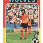 Jalkapallo n:o 157 Frank Munro. Wolves Purkkakuva - pikkukuva 1