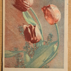 kukkakortti, tulppaanit, kulkenut 1942 - pikkukuva 1