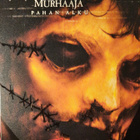 TEKSASIN MOOTTORISAHAMURHAAJA DVD - pikkukuva 1