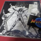 MORBID ANGEL - THY KINGDOM COME M-/M- 7'' - pikkukuva 1