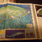 Diving Guide : SHARM EL SHEIKH ( English Edition ) SIS.PK! - pikkukuva 3