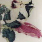 ARABIA SEINÄLAUTANEN HIBISCUS INSULARIS, WWF - pikkukuva 3
