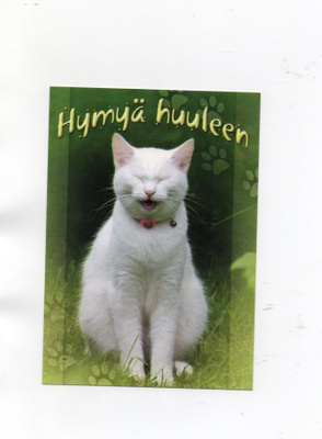 Kissa... °°Hymyä huuleen...°° -KORTTI / (J.Hopponen)