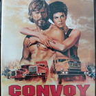 Sam Peckinpah: RAIVOPÄÄT DVD - pikkukuva 1