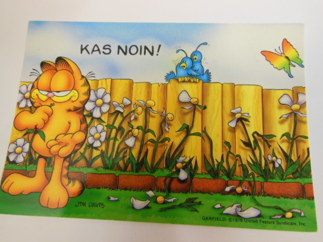 Kas noin -Karvinen
