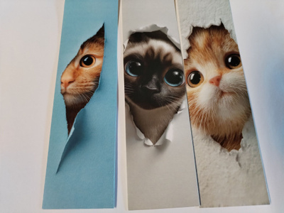 Kissa kirjanmerkkejä 3kpl.