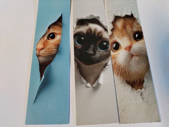 Kissa kirjanmerkkejä 3kpl.